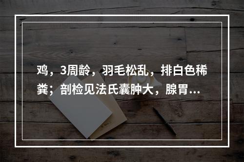 鸡，3周龄，羽毛松乱，排白色稀粪；剖检见法氏囊肿大，腺胃和肌