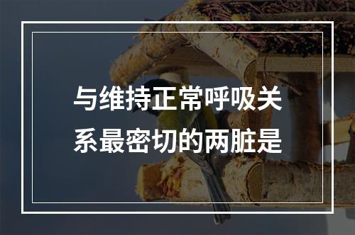 与维持正常呼吸关系最密切的两脏是