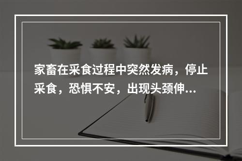 家畜在采食过程中突然发病，停止采食，恐惧不安，出现头颈伸展