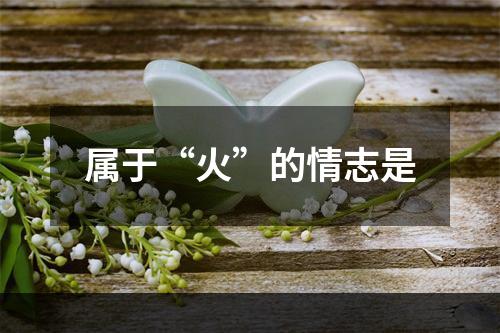 属于“火”的情志是