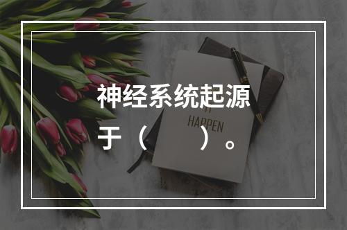 神经系统起源于（　　）。