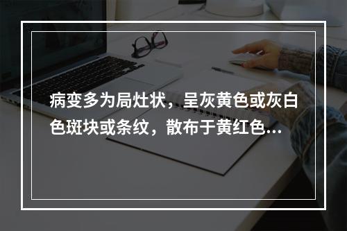 病变多为局灶状，呈灰黄色或灰白色斑块或条纹，散布于黄红色心