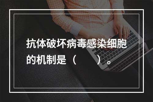 抗体破坏病毒感染细胞的机制是（　　）。