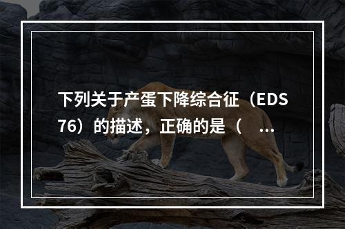 下列关于产蛋下降综合征（EDS76）的描述，正确的是（　　