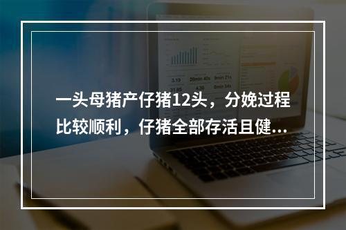 一头母猪产仔猪12头，分娩过程比较顺利，仔猪全部存活且健壮