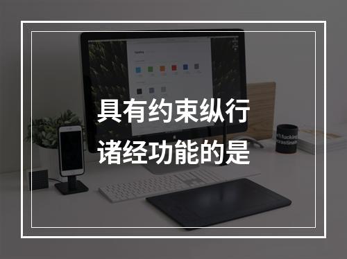 具有约束纵行诸经功能的是