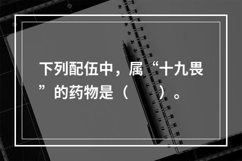 下列配伍中，属“十九畏”的药物是（　　）。