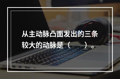 从主动脉凸面发出的三条较大的动脉是（　　）。