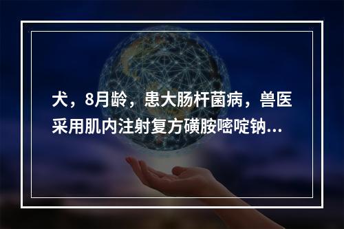 犬，8月龄，患大肠杆菌病，兽医采用肌内注射复方磺胺嘧啶钠注射