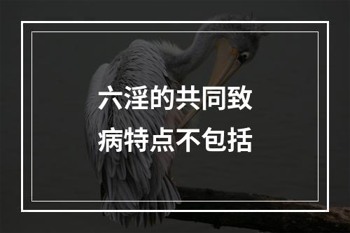 六淫的共同致病特点不包括