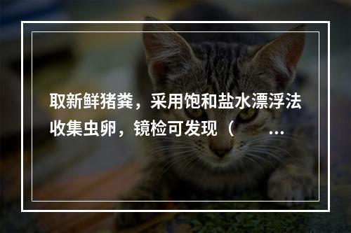 取新鲜猪粪，采用饱和盐水漂浮法收集虫卵，镜检可发现（　　）。