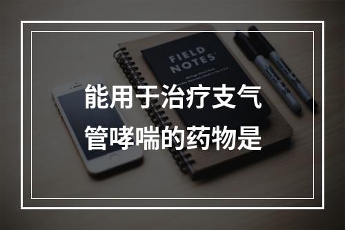 能用于治疗支气管哮喘的药物是