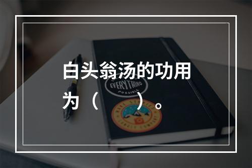 白头翁汤的功用为（　　）。