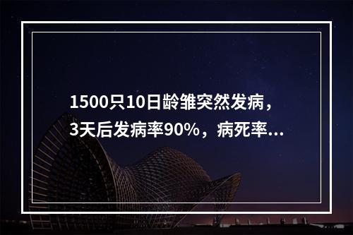 1500只10日龄雏突然发病，3天后发病率90%，病死率为