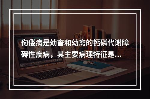 佝偻病是幼畜和幼禽的钙磷代谢障碍性疾病，其主要病理特征是（