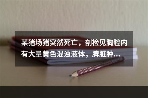 某猪场猪突然死亡，剖检见胸腔内有大量黄色混浊液体，脾脏肿大