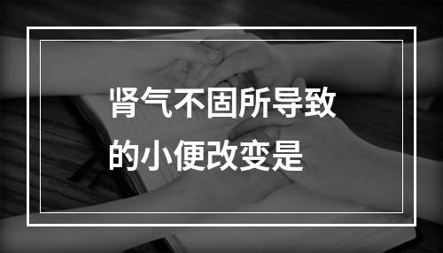 肾气不固所导致的小便改变是