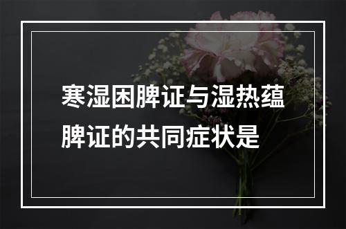 寒湿困脾证与湿热蕴脾证的共同症状是