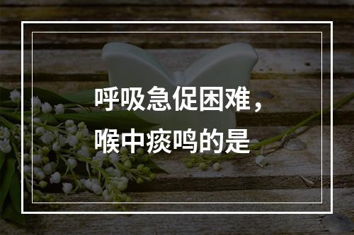 呼吸急促困难，喉中痰鸣的是