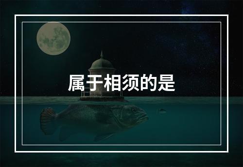 属于相须的是