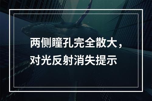 两侧瞳孔完全散大，对光反射消失提示