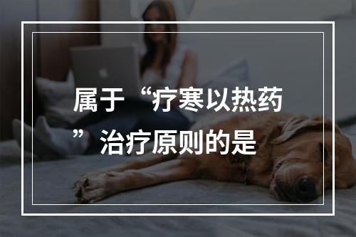 属于“疗寒以热药”治疗原则的是