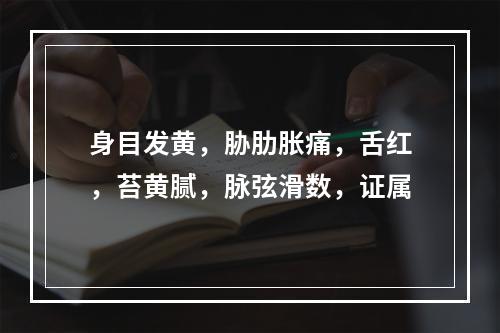 身目发黄，胁肋胀痛，舌红，苔黄腻，脉弦滑数，证属