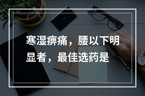 寒湿痹痛，腰以下明显者，最佳选药是