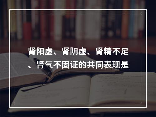 肾阳虚、肾阴虚、肾精不足、肾气不固证的共同表现是