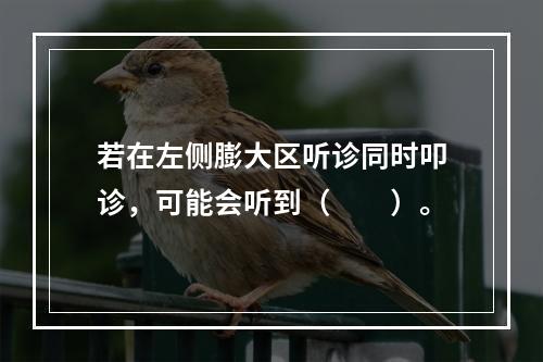 若在左侧膨大区听诊同时叩诊，可能会听到（　　）。