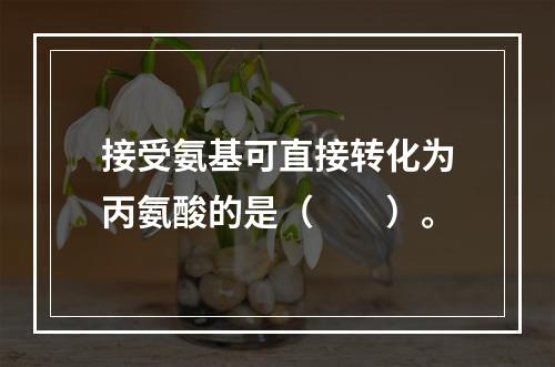 接受氨基可直接转化为丙氨酸的是（　　）。