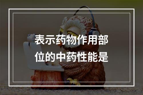 表示药物作用部位的中药性能是