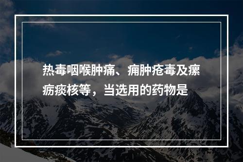 热毒咽喉肿痛、痈肿疮毒及瘰疬痰核等，当选用的药物是