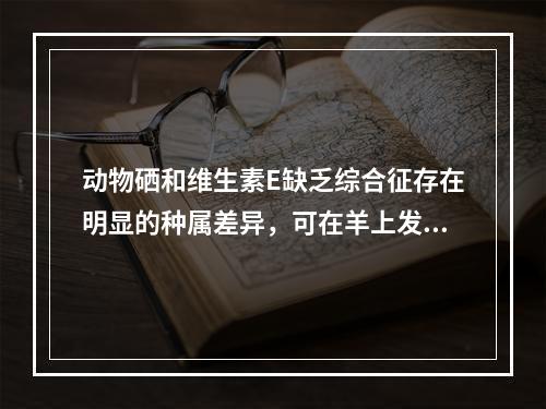 动物硒和维生素E缺乏综合征存在明显的种属差异，可在羊上发生