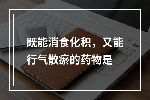 既能消食化积，又能行气散瘀的药物是