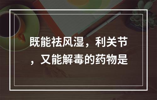 既能祛风湿，利关节，又能解毒的药物是