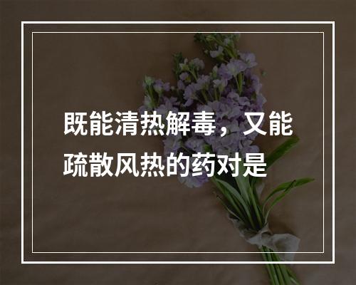 既能清热解毒，又能疏散风热的药对是