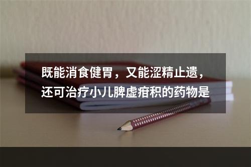 既能消食健胃，又能涩精止遗，还可治疗小儿脾虚疳积的药物是