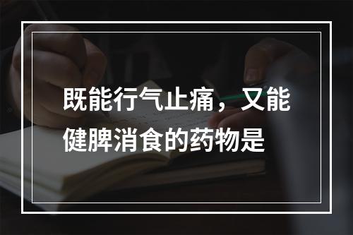 既能行气止痛，又能健脾消食的药物是