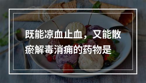 既能凉血止血，又能散瘀解毒消痈的药物是