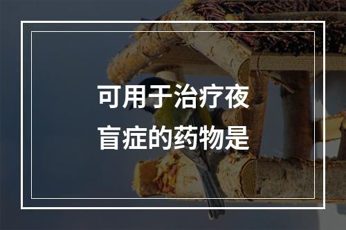 可用于治疗夜盲症的药物是