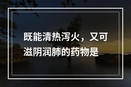 既能清热泻火，又可滋阴润肺的药物是