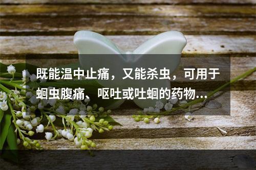 既能温中止痛，又能杀虫，可用于蛔虫腹痛、呕吐或吐蛔的药物是