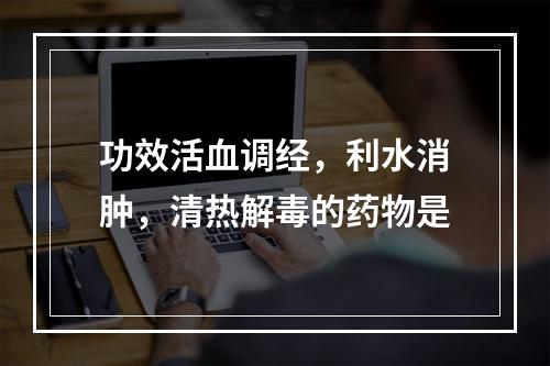 功效活血调经，利水消肿，清热解毒的药物是