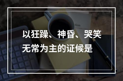 以狂躁、神昏、哭笑无常为主的证候是