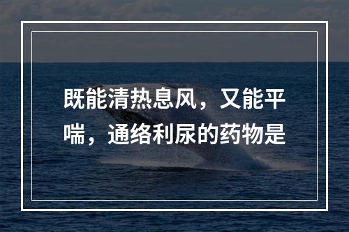 既能清热息风，又能平喘，通络利尿的药物是