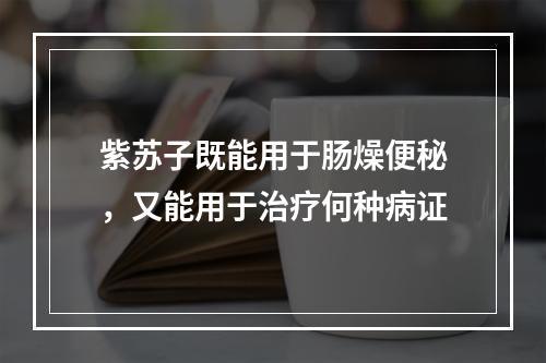 紫苏子既能用于肠燥便秘，又能用于治疗何种病证