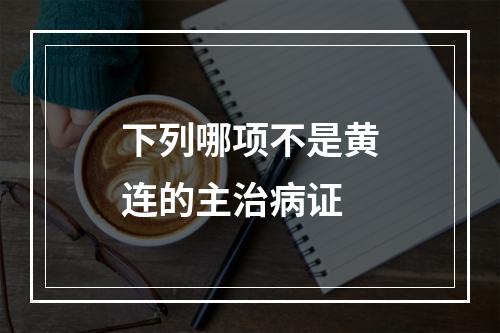 下列哪项不是黄连的主治病证