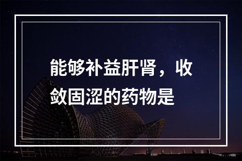 能够补益肝肾，收敛固涩的药物是