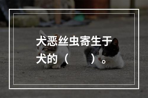 犬恶丝虫寄生于犬的（　　）。